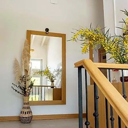 Ξενοδοχείο Kotraba Boutique 5*