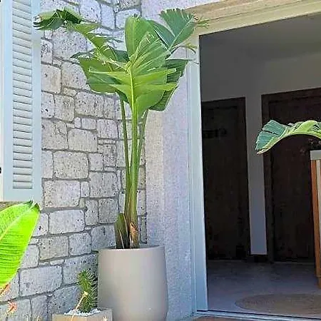 Ξενοδοχείο Kotraba Boutique 5*